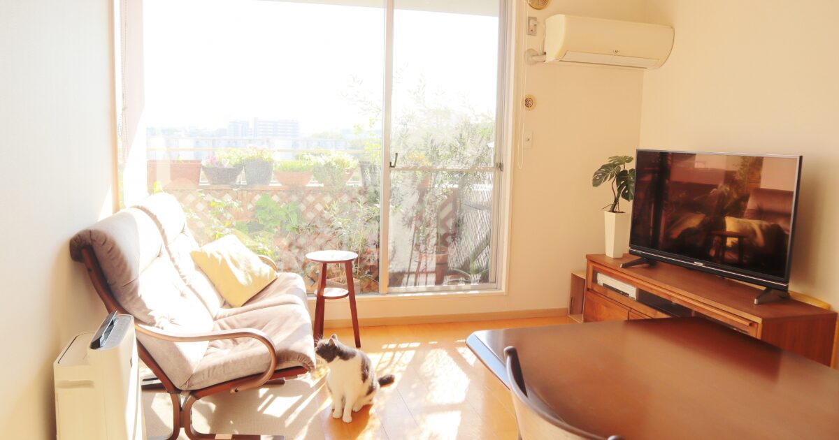日差しが差し込むバルコニー付きリビングと猫のいる癒しの空間